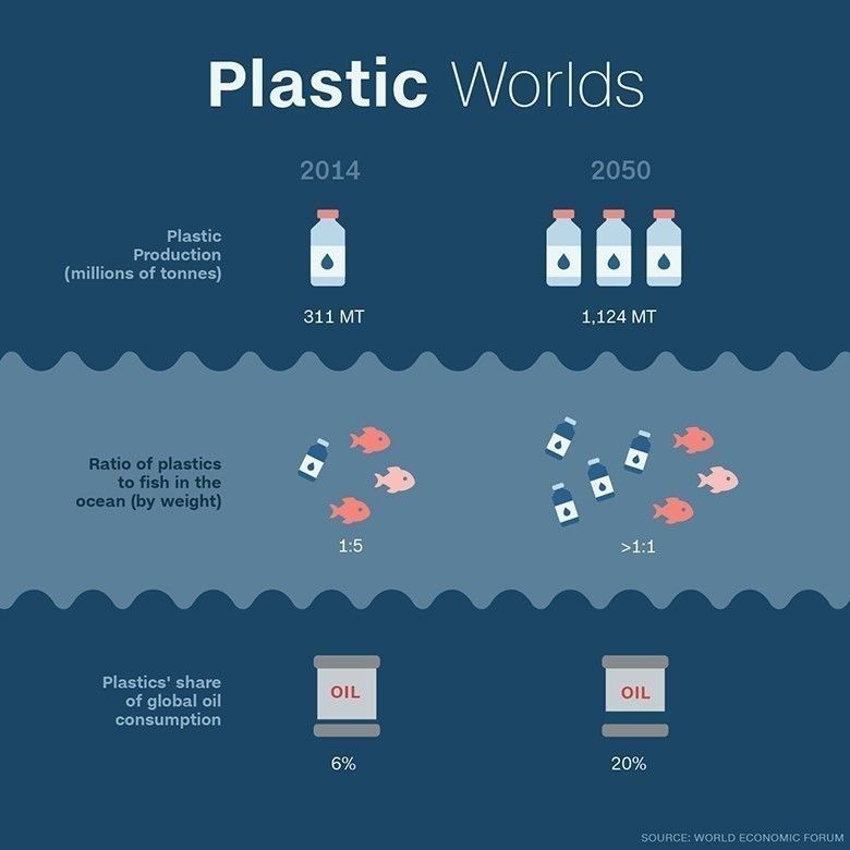 Is Plastic Pollution Distracting us from Larger Environmental Issues?